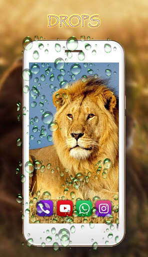 Lion Live Wallpaper screenshot 2
