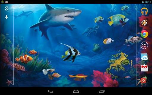 Interactive Shark screenshot 6