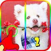 Spot 5 Differences Pictures Game logo