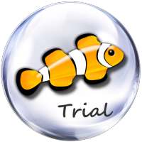 Marine Aquarium 3.3 on 9Apps