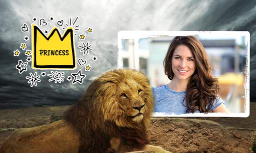Lion Photo Frames screenshot 6