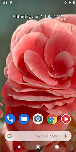 Flowers Video Wallpaper For Lock Screen 2 تصوير الشاشة