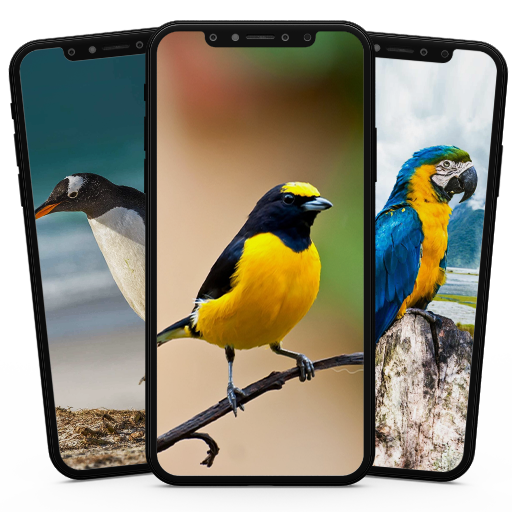 Bird Wallpaper icon