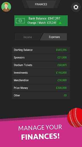 Wicket Cricket Manager screenshot 3
