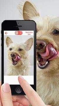 Dogs jigsaw puzzle game screenshot 1