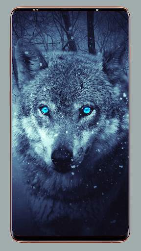 Wolf Wallpaper HD screenshot 11