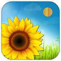 Gallery on 9Apps