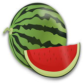Tarbooz For Health icon