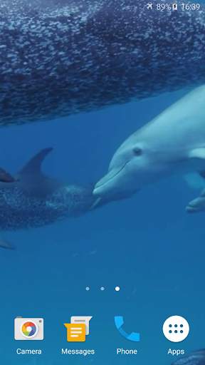 Dolphins Live Wallpaper screenshot 4