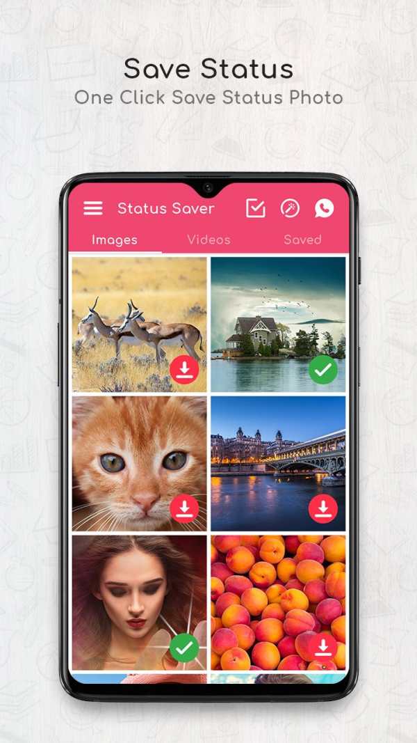 Status Saver - Whats Status Photo & Video Download screenshot 1