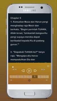 Alkitab suara bahasa indonesia(Audio) скриншот 7