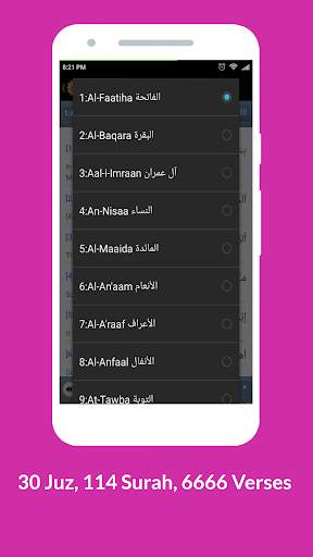 Mp3 Al Quran Full Offline screenshot 6