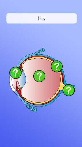 Anatomy Game screenshot 4