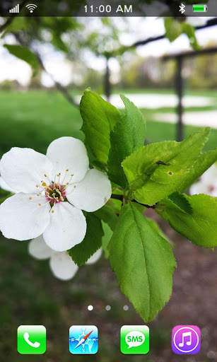Spring Flowers Live Wallpaper screenshot 3