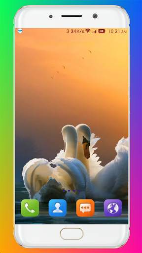 Swan Wallpaper HD screenshot 15
