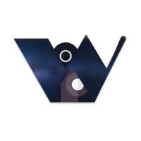Wisom - Camera/Microphone Access Indicator
