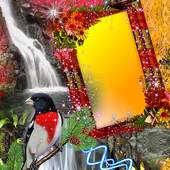 Waterfall DP Photo Frames 1.0