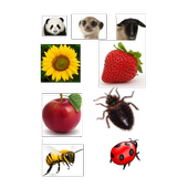 Scientific names أيقونة