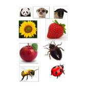 Scientific names 2.0.3