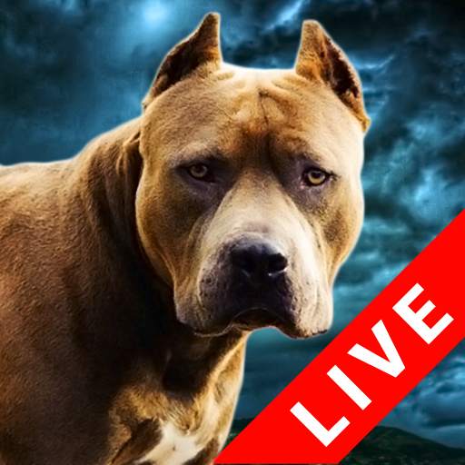 Fighting Dogs Live Wallpaper 0.4