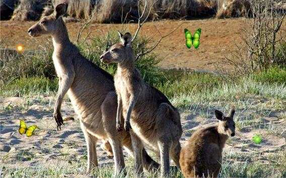 Wild Animals World screenshot 5