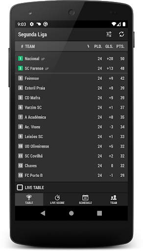 Segunda Liga screenshot 6