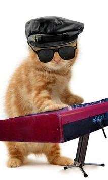 Funny cats Dancing and playing screenshot 3