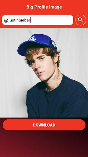 Big Profile Image: social network photo downloader screenshot 2