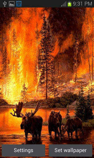 Forest Fire Live Wallpaper скриншот 1