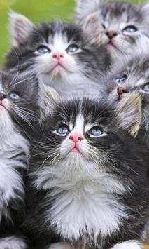 Funny Cats Jigsaw Puzzles screenshot 1