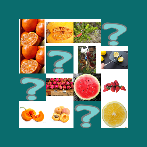 Memory Game Fruit icon