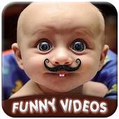 Funny Videos 1.0