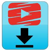 VVO Video Download Program 1.0