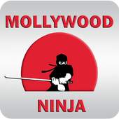 Mollywood Ninja 1.1