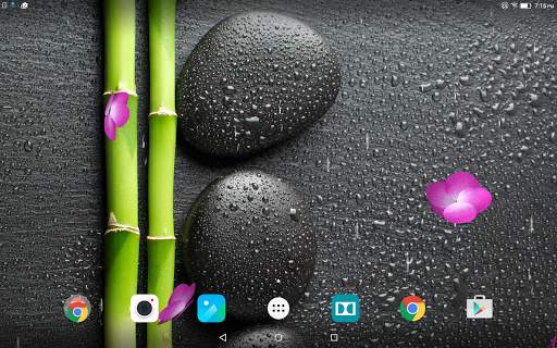 Garden Zen Live Wallpaper screenshot 9