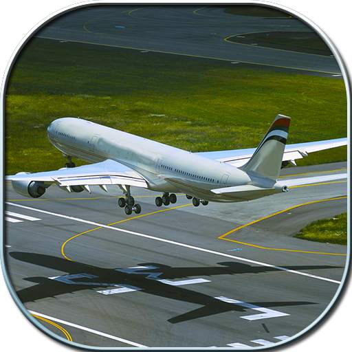 Flight Simulator Airplane 3D 1.0