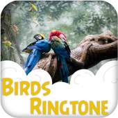 Bird Ringtone 1.0