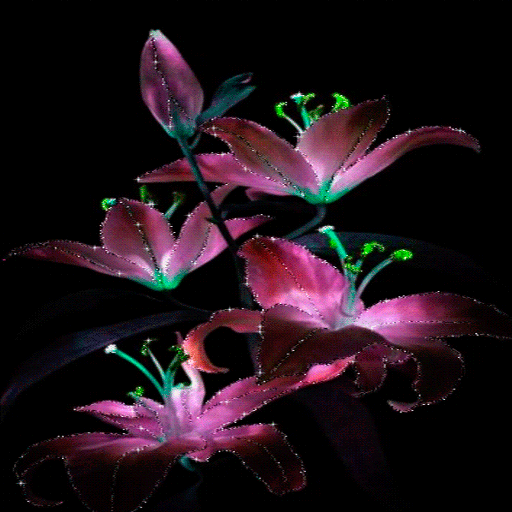 Purple Flowers Live Wallpaper icon
