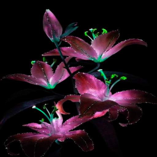 Purple Flowers Live Wallpaper 3