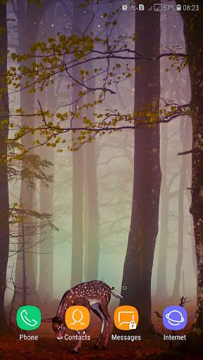 Forest Wallpaper screenshot 8