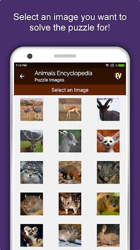Animal Encyclopedia Complete Reference Guide Free screenshot 7