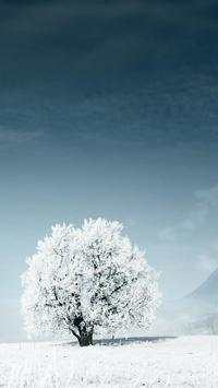 Snow Wallpapers screenshot 1