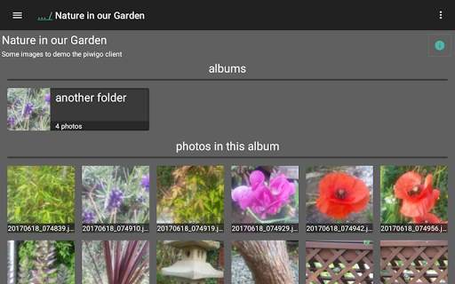 Piwigo Client - Free screenshot 7