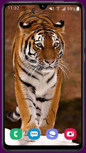 Royal Tiger Wallpaper HD 4 تصوير الشاشة