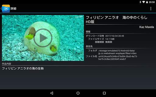 WS Player screenshot 6