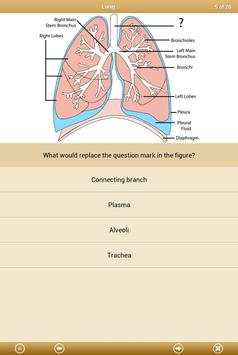 Know Your Body Lite screenshot 12