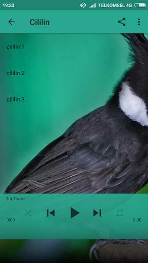 Kicau Burung screenshot 5