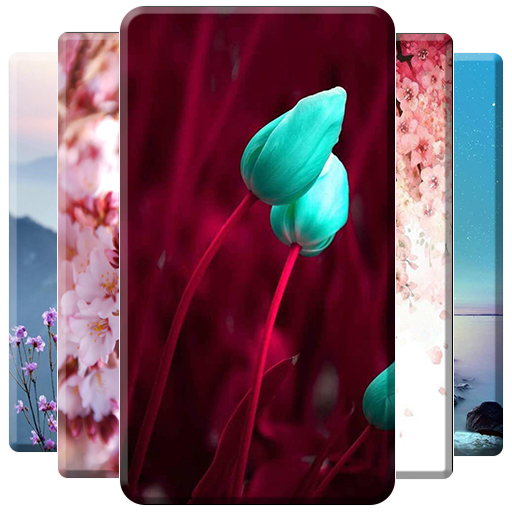 Spring Wallpaper أيقونة