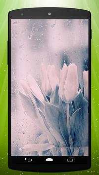 Rainy Tulips Live Wallpaper screenshot 1