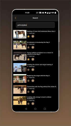 WS On Demand screenshot 5